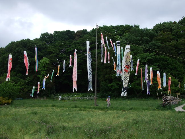 のがわ公園だったけか！？<br />そこにあったこいのぼり達。<br /><br />あああ、ゴールの写真とるの忘れた〜（ＴＴ）