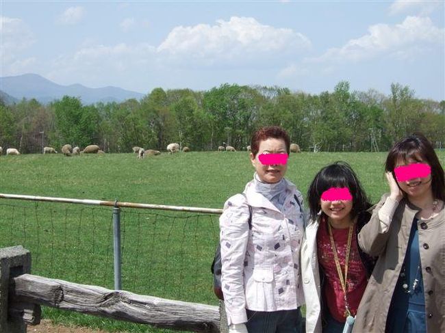 羊ヶ丘展望台<br /><br />羊達と女3代