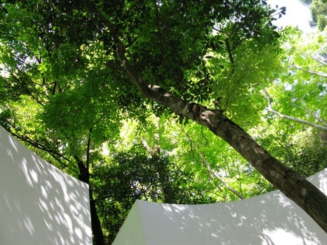 <br />たしかにこの作品の真ん中の庭に立つと、<br />風の音、小鳥のさえずり、木の音など、<br />様々な自然の音が美しく聞こえる気がしました。