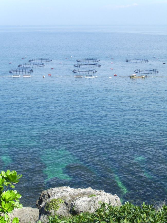 もうひとつ山猪溝というのが有料観光施設になっていてホテルプランにチケットがついているのだが、三つ目はもういいや。<br />海底動物園ってのもあったよ。<br />透明な海となにやらの養殖囲い。<br />