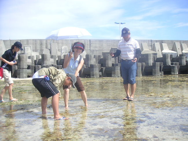 潮干狩りに期待するなら月齢に注意。<br />満月新月のときは干潮が昼になって暑いかも。<br />かといって早朝や夕刻でも時間の按配に困るかも。<br />この日は14時30分出発でした。<br /><br />ヒトデはクモヒトデだけだったけど、海胆やなまこやかにを数種、ふさふさイソギンチャクや蝦蛄やアメフラシも見られました。<br /><br />