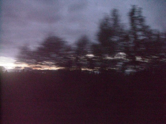 幻想的でした。