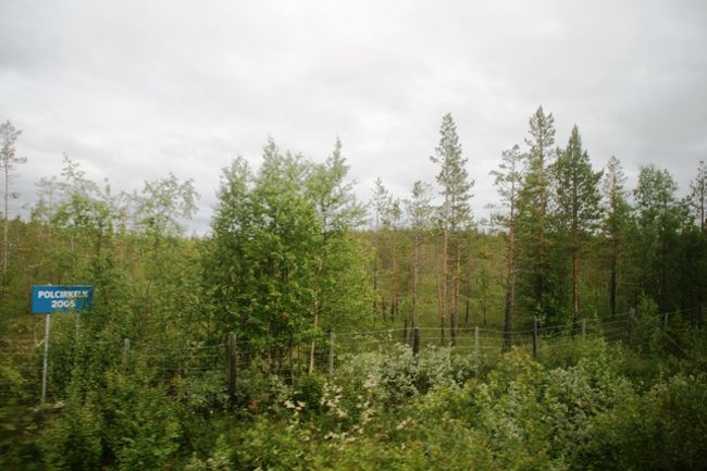 これは何だろう？<br />何かの印があった