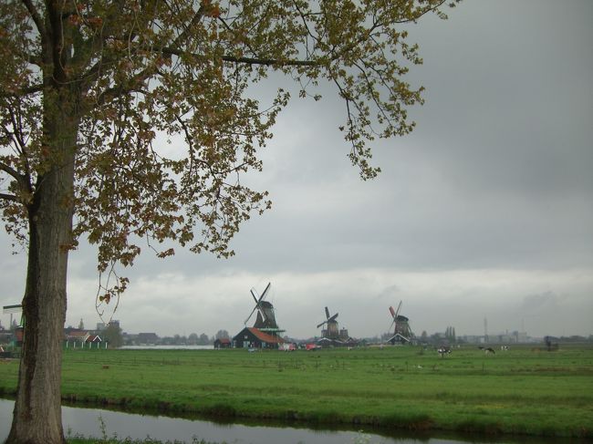 書き漏らしましたが、ここはザーンセ・スカンス。<br /><br />生憎の小雨交じりの曇天。でも、これはこれで美しい。灰真珠色がかったオランダ。<br /><br />天気予報は「晴れ」「曇」「雨」マークの全てが盛り込まれたズルイものですが、なるほど天気は驚くほど目まぐるしく変わりました。青空が美しいなあと思って少し目を離していたそのすきに、雨が降り出していたりします。でも、その時々の天気のその時々の景色はそれぞれに美しいし、空も雲も、日本での見え方とはどことなく異なっています。旅情がそう思わせるのかもしれませんが、「オランダの光」は確かにあるように感じました。