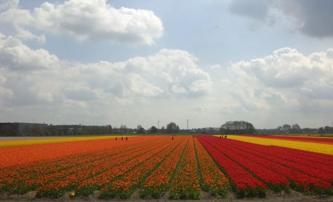 雲がとっても美しい。まさにオランダ絵画の雲。うっとり見とれてしまいます。寛ぎます。<br />