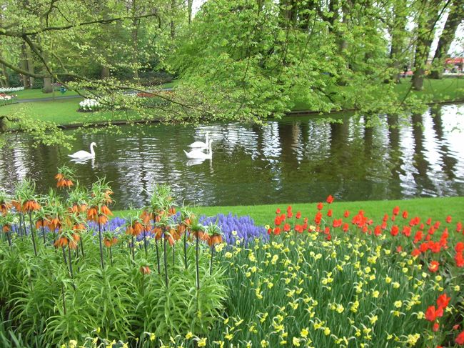 なるほど、よく手入れされている素晴らしい公園でした。サンサーンスの白鳥が聞こえてきそうな完璧すぎる決まり方です。<br />