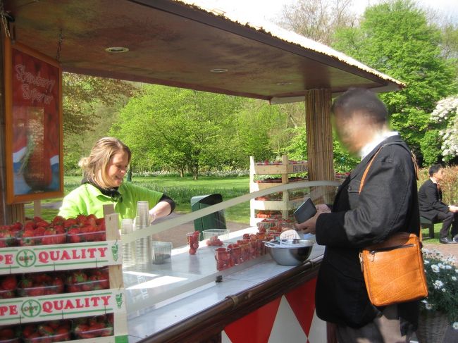 公園のベンチで苺を食べる。自然とそういう気分になるのです。見透かされてます。苺も本来の爽やかな味。「何でも甘けりゃ良いというわけでもないのよ!」と言いたげな味。見た目に反して意外に軽いホイップクリームとの相性もバツグンでした。