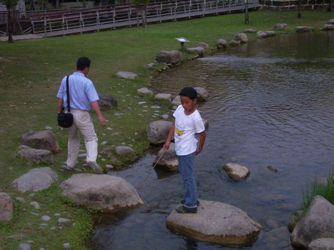 竜虎塔そばの原生植物園に行って見た。<br />蛍はもう終わっているのかな。