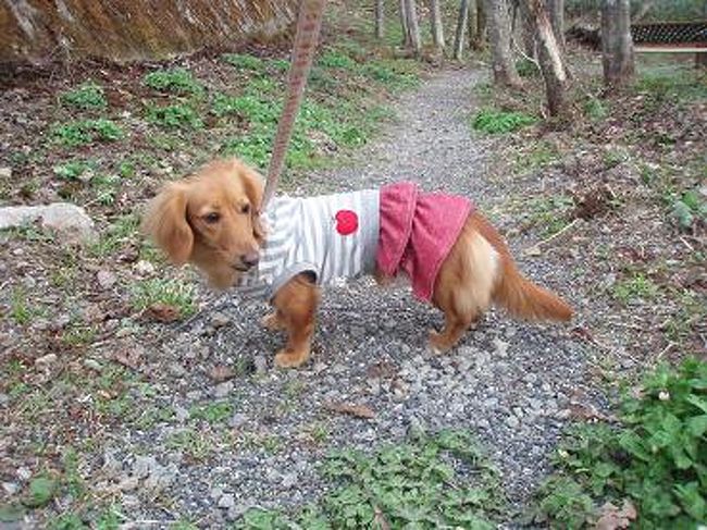 早速、お散歩お散歩〜♪