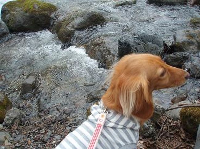 小川も流れていたり、マイナスイオンたっぷりですね〜