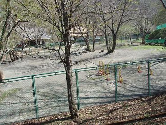 ドッグランもありましたよ〜