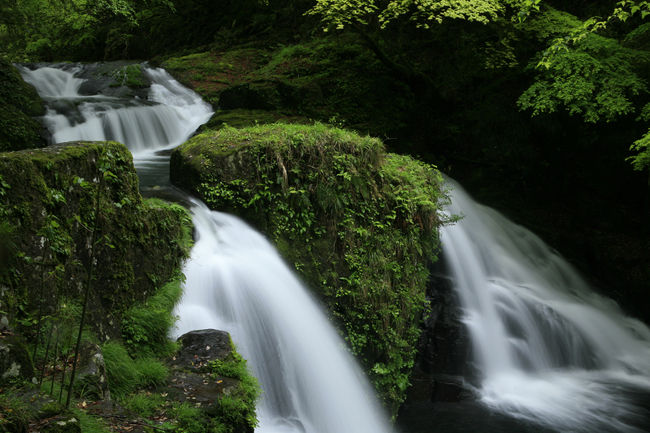 霊蛇滝（れいじゃたき）・赤目四十八滝（日本の滝百選）・三重県
