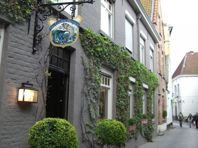 さて、ベルギーの星を求めて、先ずはその一番星。<br /><br />人通りの少ないそんな小路にひっそりとあるDen Gouden Harynck（ゴウデン・ハリンク）。ミシュラン★<br /><br />予約はネットで一ヶ月ほど前に。ネコの額ほどですが小綺麗な中庭に面したとても気持ちの良い席に案内頂きました。<br />
