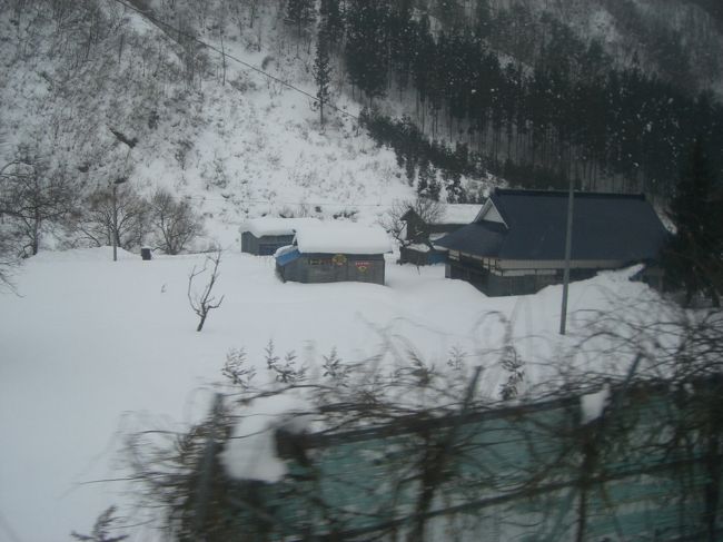 新幹線からみた雪だけの景色(o´艸｀)