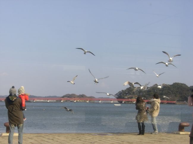 かもめが飛んでる〜♪
