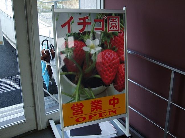 奈良県 道の駅 針テラスでいちご狩り ２００８ 奈良市 奈良県 の旅行記 ブログ By コッピー さん フォートラベル