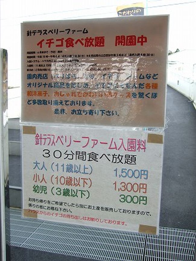 奈良県 道の駅 針テラスでいちご狩り 2008 奈良市 奈良県 の旅行記 ブログ By コッピー さん フォートラベル 奈良県 道の駅 針テラスでいちご狩り 2008 奈良市 奈良県 の旅行記 ブログ By コッピー さん フォートラベル