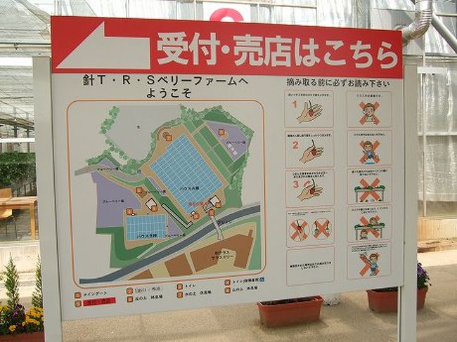 奈良県 道の駅 針テラスでいちご狩り ２００８ 奈良市 奈良県 の旅行記 ブログ By コッピー さん フォートラベル