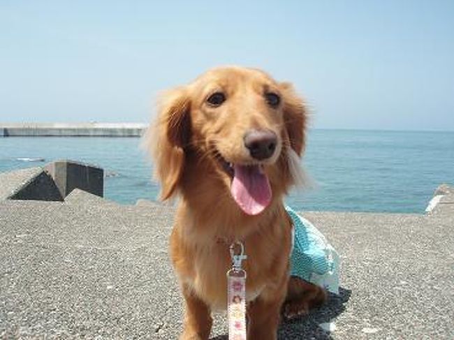 なんか嬉しそうで、いいお顔してる〜(*^o^*)