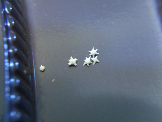 お土産屋で買った星砂。<br />海岸で見つけたのはこんなにとげとげしていなかった。