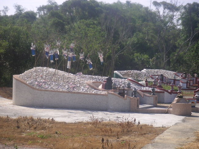 お墓の上でひらひらするのは何じゃらほい。