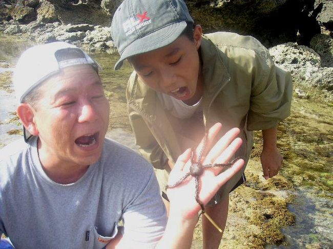 クモヒトデ<br />今まで見た中で一番でかい