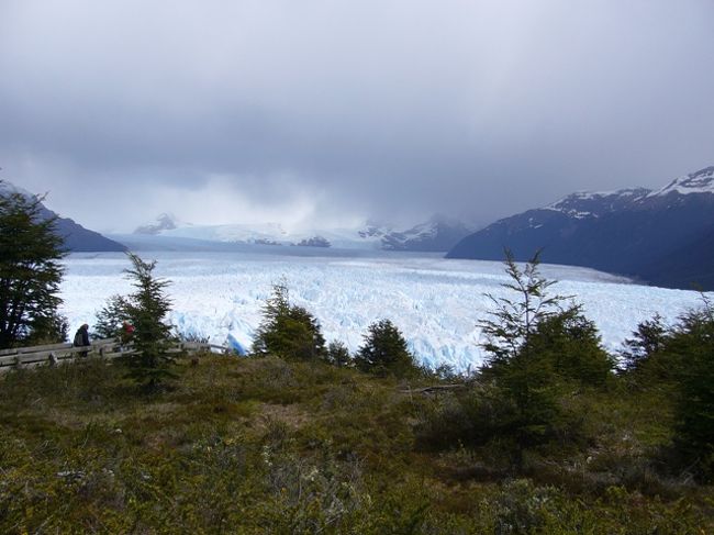　船からの氷河鑑賞の後、バスに戻りペリト・モレノ氷河の見える展望台まで移動。今度は陸上から氷河を堪能する。展望台は森を抜けて少々下に降りるとある。