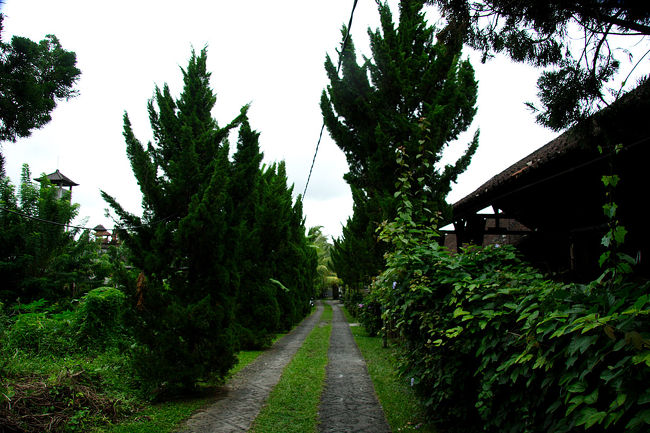 ウブド市場を背に歩いて、モンキー・フォレスト通りのカフェ・ワヤンを通り過ぎてもう少し歩いた右の細い路地を入ったところに有ります。<br />目立つ看板が有る訳では無いので、通りから見ているだけでは分かりにくいです。<br />