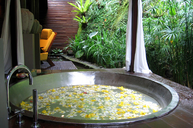 フラワーバス初体験しました〜!