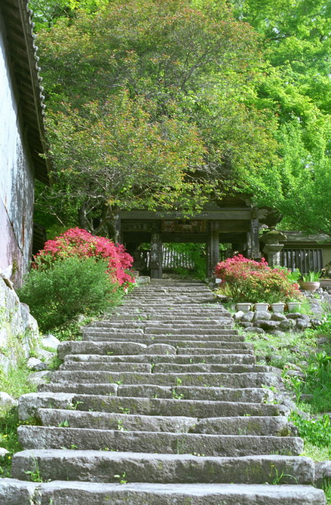 宿の隣にある富貴寺門前の石段です。<br />宿からでも、ロープを乗り越えればすぐ境内なのですが…拝観料の要るお寺なのでやっぱり正面から入ることにしました。
