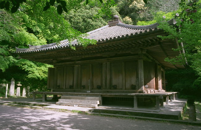 境内に入ると、美しいお堂が目に入りました。<br />阿弥陀堂（国宝）です。平安後期に建てられたもので、九州最古の木造建築だそうです。<br />その落ち着いた静かな佇まいは、一目で心惹かれました。