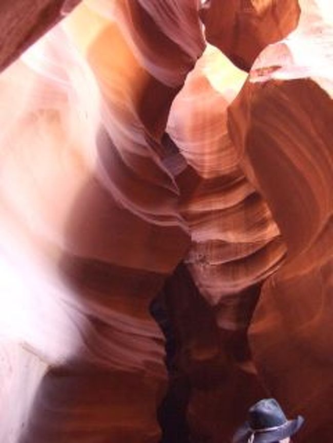 これこれ！！これが見たくて来たのです♪<br />とても幻想的でした！<br />