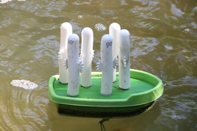 ニョロニョロ  こんにちは〜