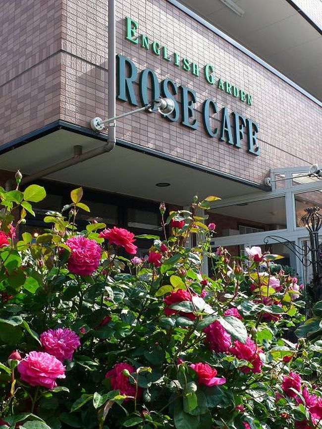 English Garden Rose Cafe 国分寺 小金井 東京 の旅行記 ブログ By もろずみさん フォートラベル