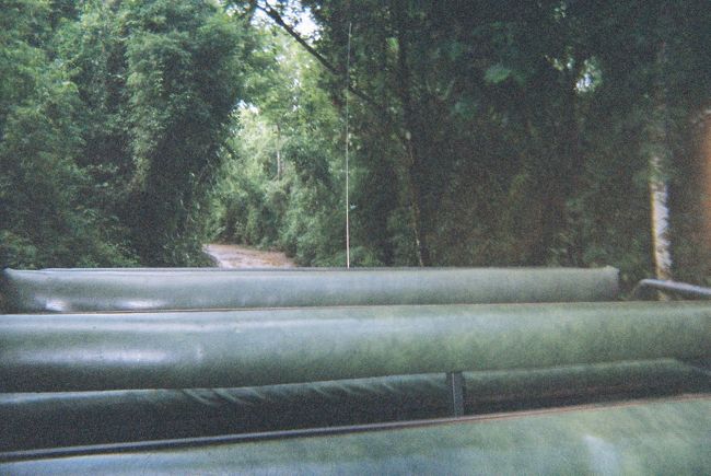 滝壺の後、４WD車でジャングルツアーに参加しました。