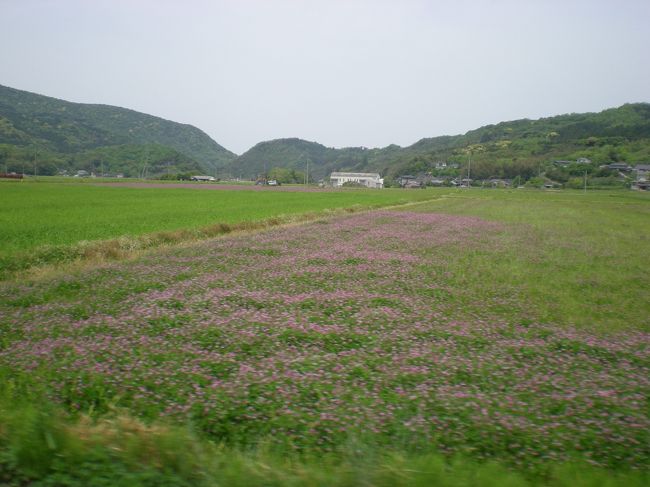 それから、熊野磨崖仏に向かって車を走らせました。かなりきつい石段を登らねばならないというので、午前中の元気なうちに行っとこうという計画です。<br /><br />車の窓から見える風景は、ほとんどこんな感じでした。山か田んぼ。本当に長閑です。時間があったら徒歩で石仏めぐりをしたいなあと思いました。