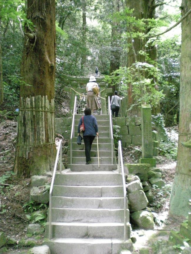 熊野磨崖仏入口に到着しました。受付で拝観料２００円を納め、杖を借りて、いざ入山。杖は受付にたくさん置いてあり、自由に借りられるのです。<br /><br />しばらくは、わりと緩やかな階段がつづきました。この程度なら楽勝、楽勝。お年寄りもけっこう登ってるみたいだし…。