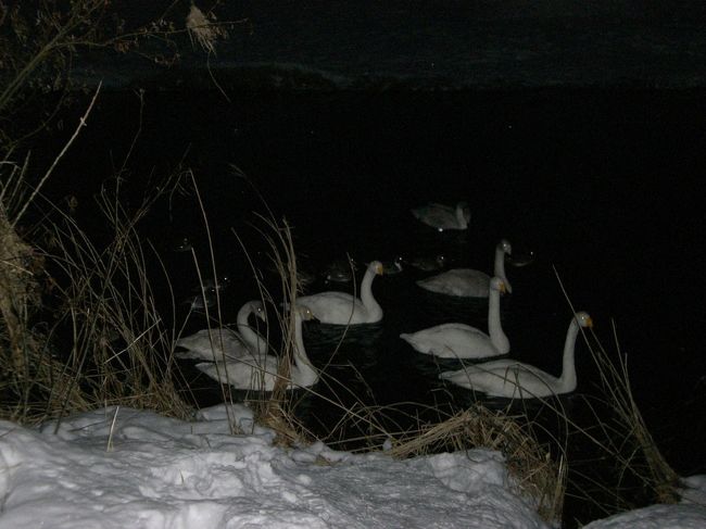 夜の中津川♪<br /><br />なんかいい感じ☆