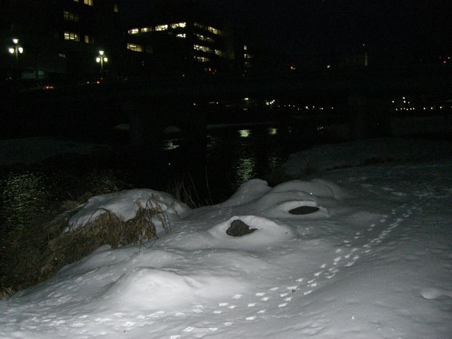 雪が好き(o´艸｀)<br /><br />足跡がなんか可愛い☆