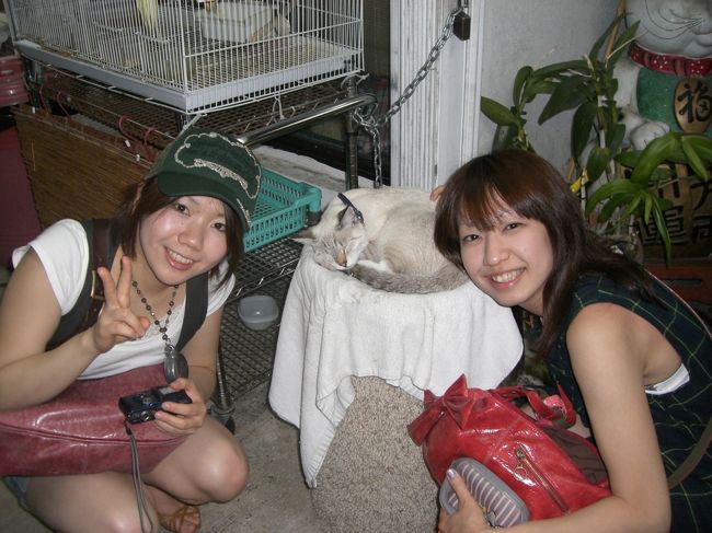 お土産屋さんの前でねこちゃんとたわむれた♪