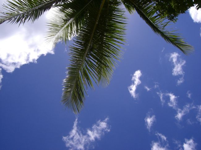 のーんびり〜。。。♪