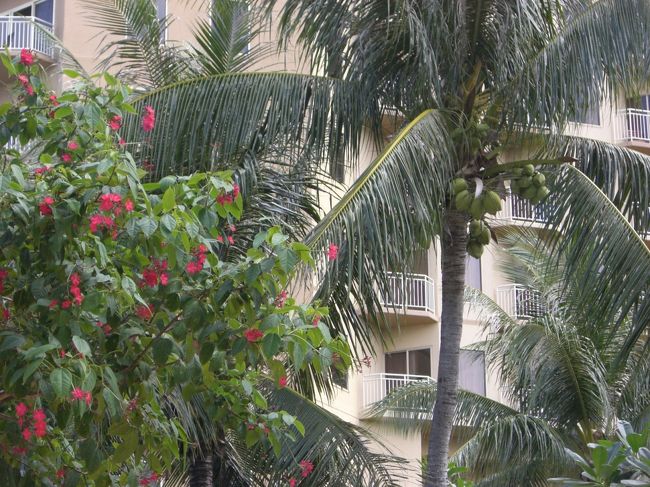 自然いっぱい☆