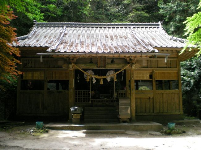 さらに登ったところに神社がありました。紀州熊野から権現様を招いてお祀りしてあるという熊野神社です。本家熊野と同様、ここも修験道の聖地なのです。<br /><br />ここからまた長い石段を下って駐車場へと戻ったのですが、登りづらかったこの石段、下りはもっと大変でした。手すりにつかまりながら一歩一歩慎重に下りないと危険。登りは邪魔に思えた杖でしたが、これって下るときのためにあったんだ…。