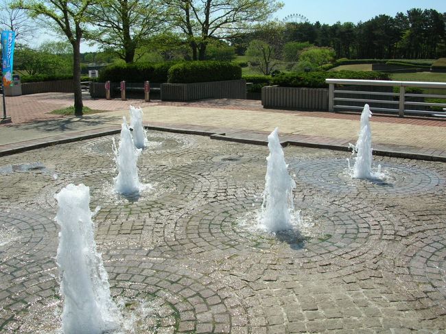 噴水や池も多いので、マイナスイオン効果で癒されます。