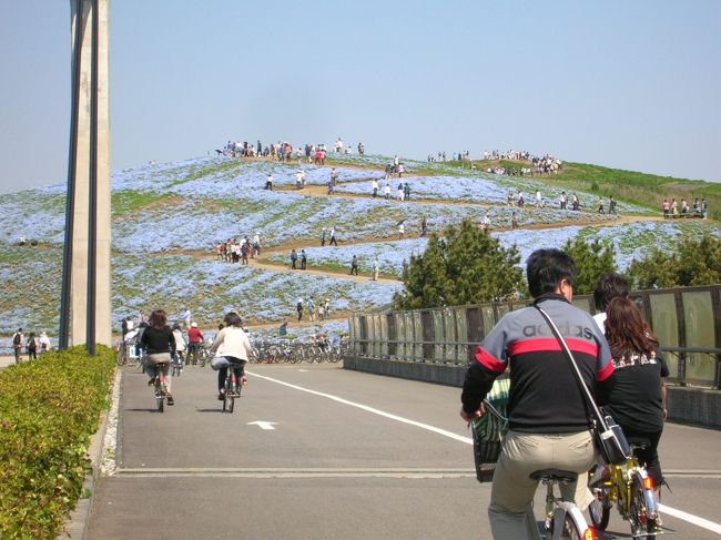 見えてきました、「みはらしの丘」