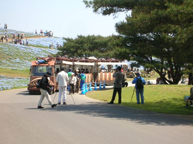 丘を下りると、バスがいました。<br />これが園内巡回バスです。