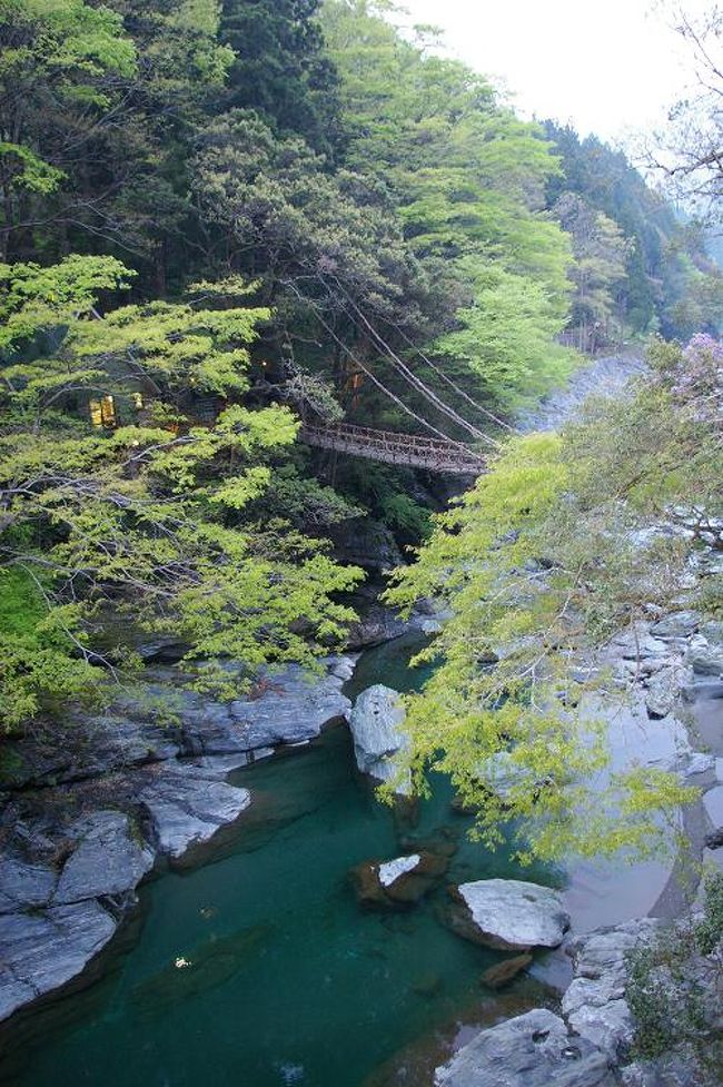 おおぼけ こぼけ かずら橋 祖谷渓 かずら橋 大歩危 徳島県 の旅行記 ブログ By Ecotさん フォートラベル