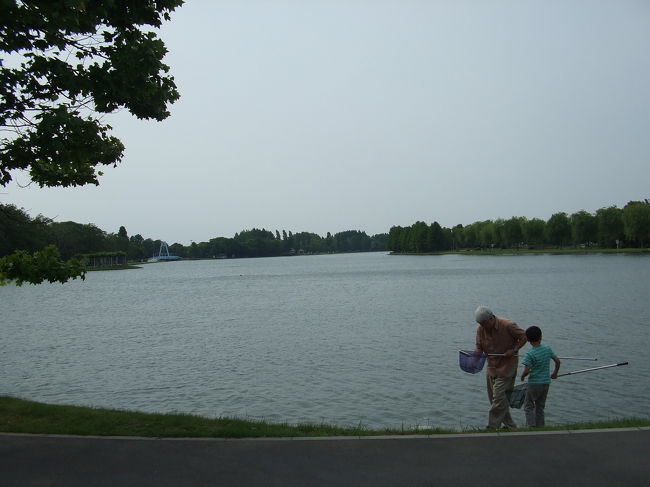 　冒頭は江戸川の写真です。千葉側から撮りました。向こう側が東京です。<br />　この写真は、東京は葛飾の水元公園です。おじいちゃんがお孫さんと何か網でとってます。釣りをしている人もチラホラ見えます。釣りをしてもいいですが、お魚さんはちゃんと行けに戻すように掲示板があります。