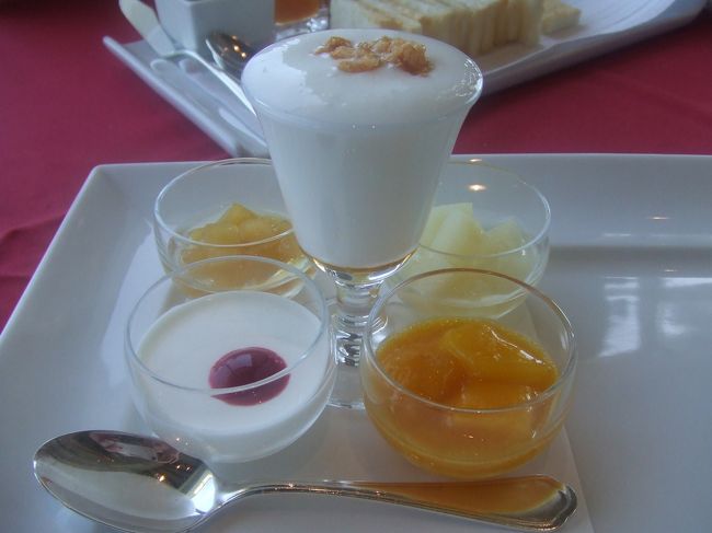 真ん中がヨーグルトなんですが、炭酸を含ませてあるらしくて口に含むとシュワシュワします。ただ少しすっぱかったです。その周りはフルーツのコンポートとパンナコッタです。パンナコッタが美味しかったです
