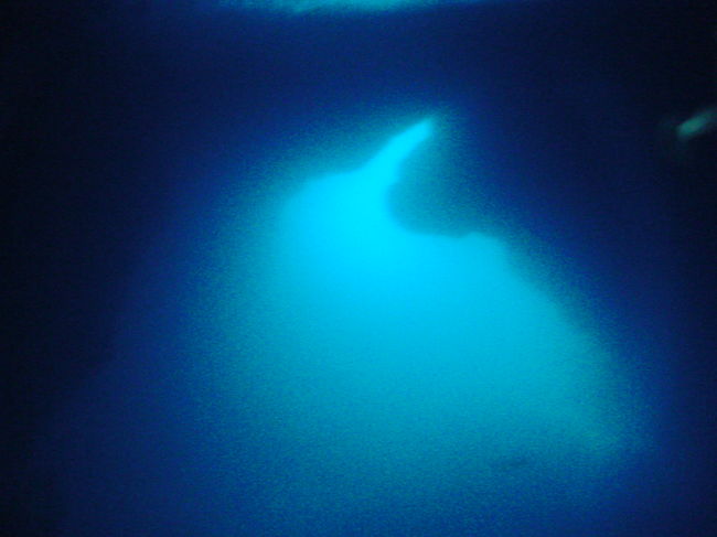 モバイルパック、ようやく活躍！（とはいってもピンぼけですが・・・）<br />グロットをシュノーケリング中に撮った水中写真です。幻想的なブルー・・・ここでしか見られない光景に大興奮です。